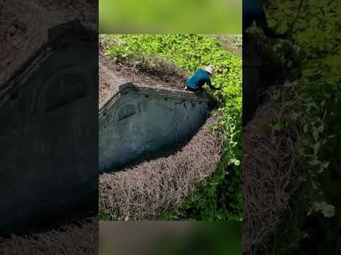 You Won't Believe This House Transformation! #short