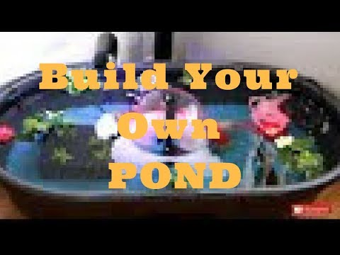 How To Set Up A Small Indoor Goldfish Pond | DIY Indoor Goldfish Pond Set Ups | DIY Indoor Ponds