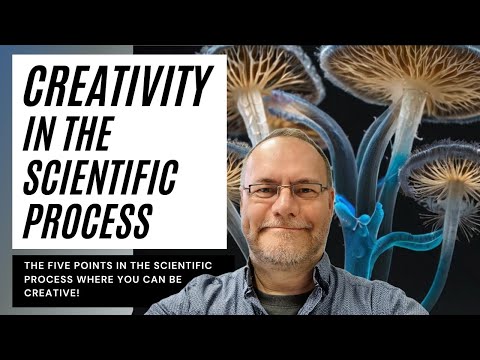Creativity in the scientific process: the 5 points where you can be creative. #phd #creativity