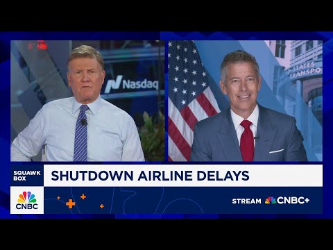 Transportation Sec. Sean Duffy: We could see more disruption to air travel due to shutdown