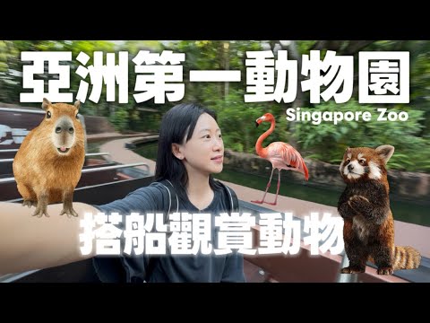 一個人去…亞洲第一動物園 新加坡