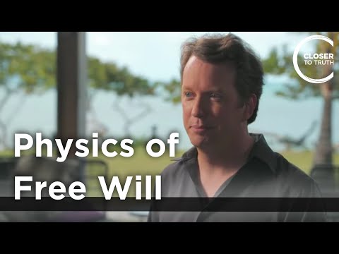 Sean Carroll - Physics of Free Will