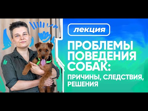 Запись лекции Насти Бобковой «Проблемы поведения собак: причины, следствия, решения»