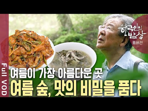 초록으로 생생한 여름 정원에서 만나는 힐링 가득한 숲 속의 밥상 | 한국인의 밥상 | KBS 20190718 방송