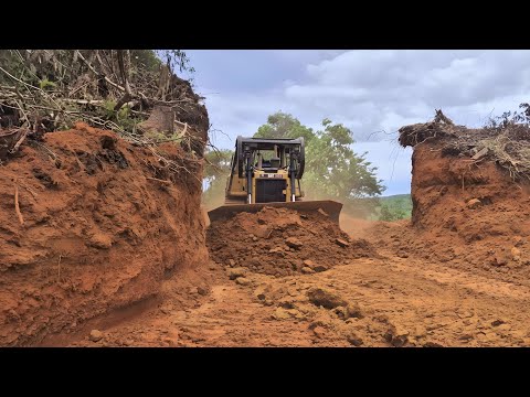 Epic Mountain Road Breakthrough! CAT D6R XL Bulldozer Carves a Path Through Wild Forest
