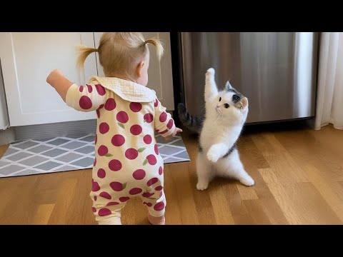 You Laugh You Lose 😅 Best Funny Cats and Dogs Videos 😹🐶 Part 6