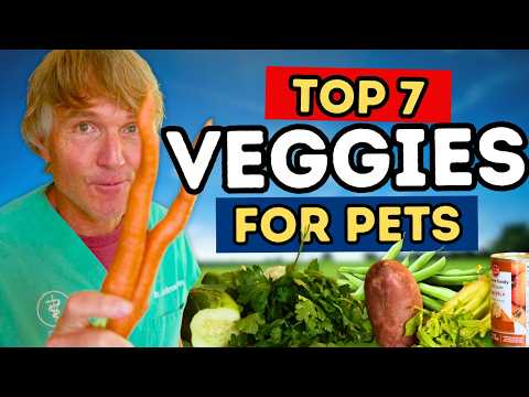 Top 7 Veggies for Dogs That Boost Health (And 3 You Should Avoid)