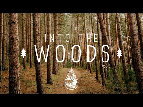 Into The Woods 🌲 - A Mysterious Indie/Folk/Pop Playlist | Vol. 2