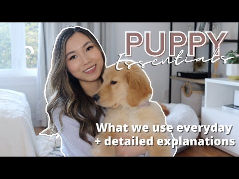 Puppy Essentials | What We Use Everyday + Detailed Explanations