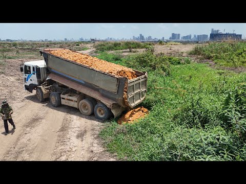 Nicely Working Quickly Land filling By 25-TON Truck & Skills Shantui DH17-C3 Dozer Pushing Soil