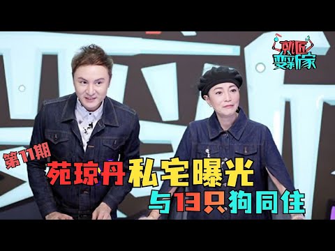 “石榴姐”苑琼丹私宅曝光，“6人13狗”同住惊呆网友#就匠变新家 EP11 FULL