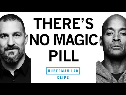 There's No Magic Pill to Success | David Goggins & Dr. Andrew Huberman