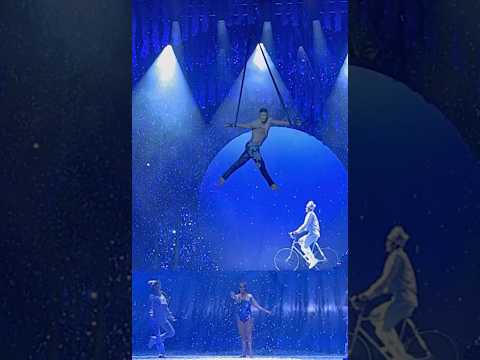 TWAS ' Cirque du Soleil ' Duo Desire