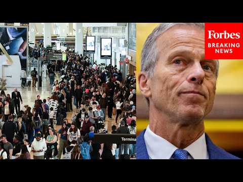 'The Situation Can't Continue': John Thune Calls On Dems To Negotiate On To Fund DHS