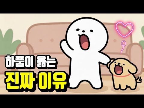 누군가 하품하면 나도 하품하는 진짜 이유