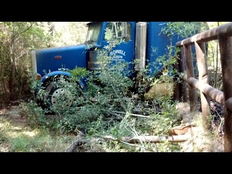 Will It Start? 1987 379 Pete sitting 20 Yrs 