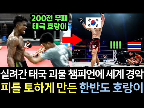 200전 무패의 세계 1위 챔피언 태국 괴물 끝판왕을 한국 천재가 내장 파열로 쓰러뜨리며 응급실로 보내자 난리난 대충격의 현장