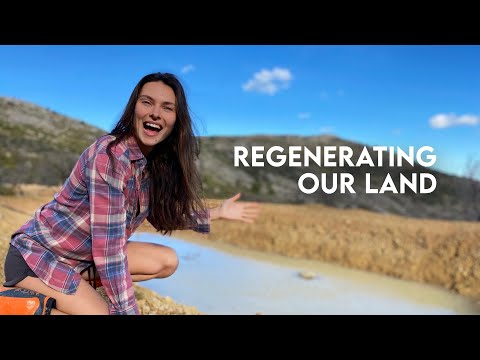 2 YEARS ALONE IN THE WILDERNESS | Huge POND & SWALE | OFF GRID LIVING | Part II