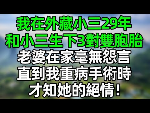 我在外藏小三29年，和小三生下3對雙胞胎。老婆在家29年毫無怨言，直到我生病手術時，才知她的絕情！#深夜淺讀 #夜讀人生 #情感故事  #大橘讲故事 #講故事  #幸福生活  #深夜故事