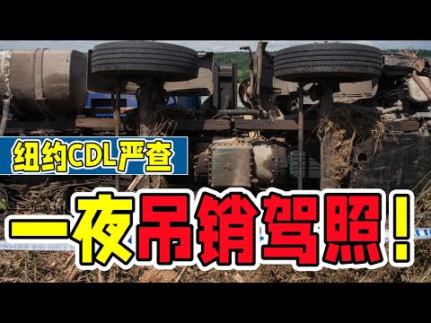 一夜吊销驾照!华人司机最危险!纽约CDL要大清洗!