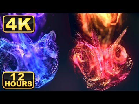 4K Abstract Liquids! Mesmerizing 4K Abstract Fluids for the ULTIMATE Meditation