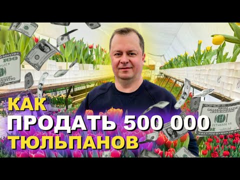 Как продать 500 000 тюльпанов