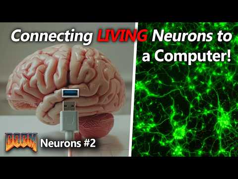 Working Neuron Arrays! | DOOM Neurons Part 2
