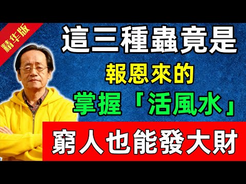 倪海廈：這三種蟲竟是報恩來的！掌握「活風水」，窮人也能發大財！#佛陀#佛法 #佛教 #修行 #智慧 #因果#佛學知識 #佛學智慧#风水 #风水玄学