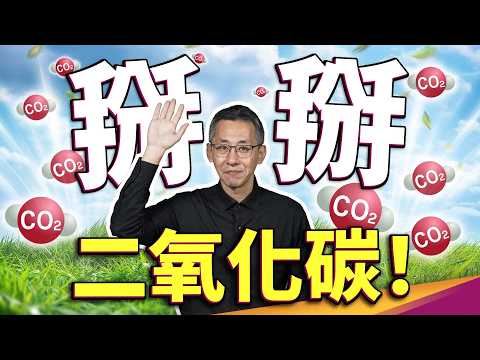 這材料真的得諾貝爾獎了！消滅二氧化碳最快的方式！地球終於有救了？