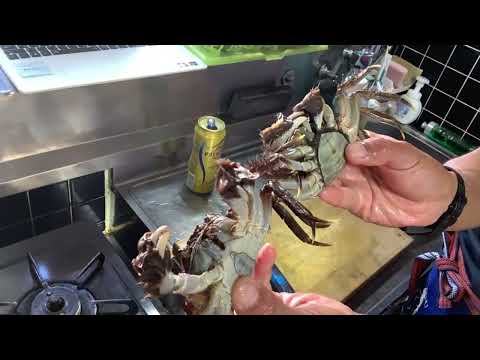 夕食ライブ 2025.11.9 モクズガニ