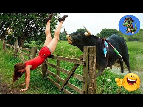 VERSUCHE NICHT ZU LACHEN !!! 🤣🤣🤣 #61