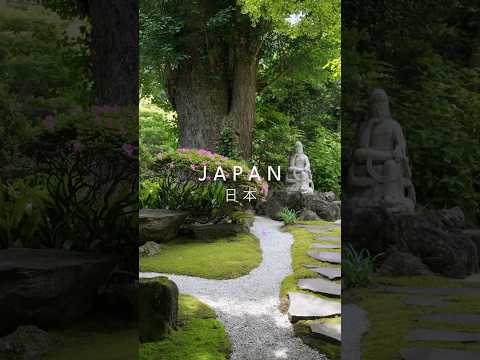 🇯🇵 18 days across Japan in 60 seconds | Full Video on My Channel #japan #japanitinerary #travel