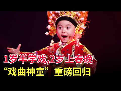 1岁半学戏,2岁上春晚,3岁“戏曲神童”张楚怡再度来袭,黄梅戏《女驸马》这身段和唱腔谁看了不称一声“绝”!【家有大明星】