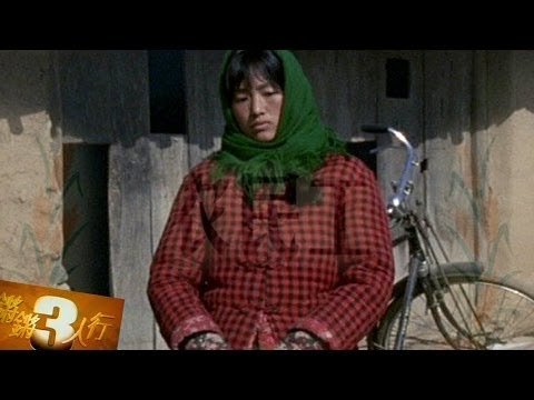 20140106 锵锵三人行 农民不愿当"二等公民"梦想进城【李玫瑾、陈丹青】