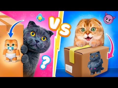 Кошечка БАТТЕРС vs Котик ПЕРСИК 🐱 Адвент с Котятами против Адвента для Котят