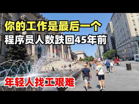 2026最残酷的数据：程序员人数跌回45年前，四分之一的编程岗位消失了，你现在的工作是最后一个，25岁以下程序员已丢20%岗位