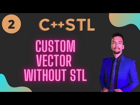 2) Custom Vector  without  C++ STL (Only C++)