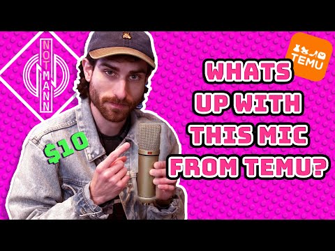What's Up With This Cheap U87 Mic From Temu?