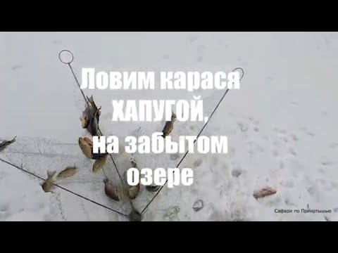 ХАПУГА в деле и трещит от карасей.