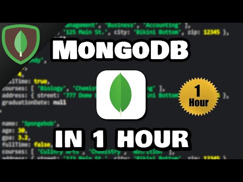 Learn MongoDB in 1 hour 🍃