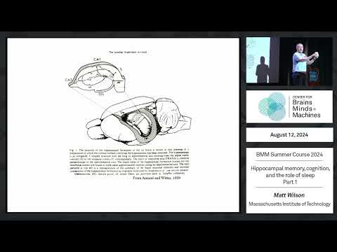 Hippocampal memory, cognition, and the role of sleep - part 1