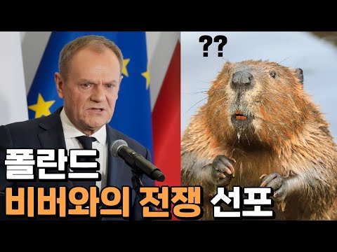 K-전차 구매한 폴란드의 전쟁 상대