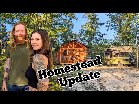 Update from our Homestead | Living simply on our land