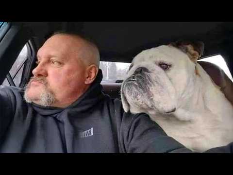 When Your Dog Hilariously Copies Everything Humans Do 🤣 Funny Dog and Human Videos