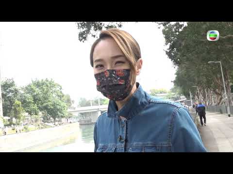 東張西望 | 大埔 林村河 生魚萬條泛濫 |  亂捕亂食亂賣成亂像 | 污染