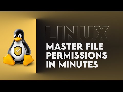 Mastering Linux File Permissions In Minutes