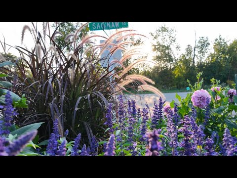 This Jaw-dropping Display Garden Stops Traffic