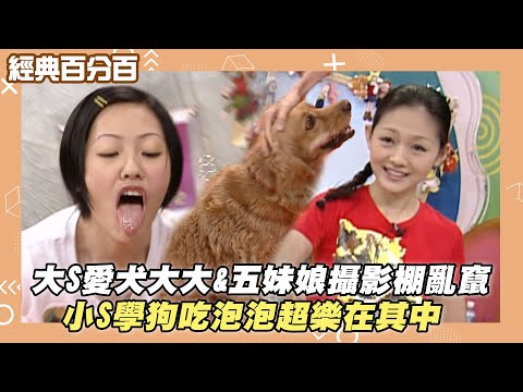 【經典百分百】大S愛犬大大&五妹娘攝影棚亂竄 小S學狗吃泡泡超樂在其中