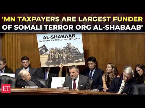 'Billions sent to support Al-Shabaab': Sen. Cruz drops bombshell at Minnesota Somali fraud hearing