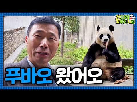 Today is Fu Day! Grandpa and Baby Panda Fu Bao Reunited After a Long Time🐼